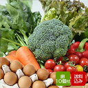 野菜と卵セット 九州野菜 野菜つめあわせ 誕生日祝い クール便
