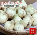 【訳あり】たまねぎ 規格外 栽培期間中農薬不使用 サイズ不選別 玉ねぎ/タマネギ/玉葱 長崎県産