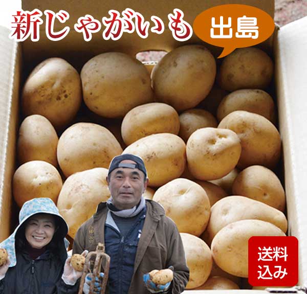 新じゃがいも 出島 新ジャガイモ 長崎県島原産 芽止め照射不使用