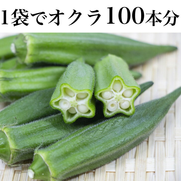 おくらパウダー 無着色 無添加 オクラ茶 オクラ水 野菜パウダー メール便 2