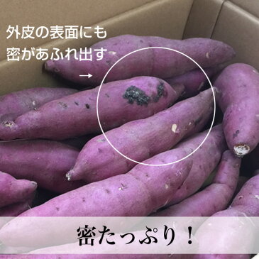 紅はるか 土付き 10kg 訳あり さつまいも かのや紅はるか認定 鹿児島産 送料無料