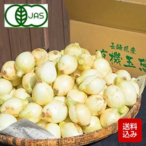 有機栽培 オーガニック 新たまねぎ 4kg 新タマネギ 玉ねぎ 玉葱 長崎県産 産地直送 有機栽培 オーガニック 新たまねぎ 4kg 新タマネギ 玉ねぎ 玉葱 長崎県産 産地直送