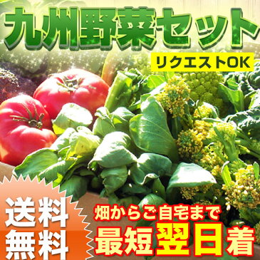 【送料無料】野菜セット 旬の九州野菜 おまかせ詰め合わせ 野菜セット 九州 西日本 野菜