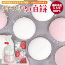 紅白餅 お配り用 年末年始 記念品 景品 催事 配りもち 福岡県産 冷凍