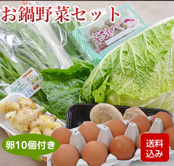 お鍋野菜セット 九州野菜 卵10個付 お取り寄せ 野菜詰め合わせ