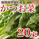 商品画像：季膳味和　楽天市場店の人気おせち楽天、かつお菜 20束 【送料無料】 カツオ菜/かつおな/カツオナ/鰹菜　【年末ご予約商品】