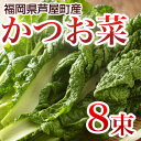 商品画像：やまゆの食卓の人気おせち楽天、かつお菜 8束 【送料無料】 カツオ菜/かつおな/カツオナ/鰹菜　【年末ご予約商品】