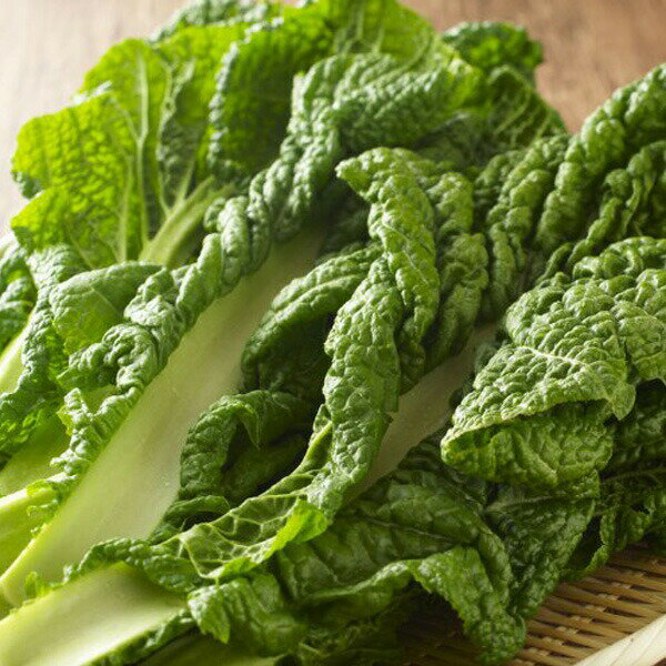 かつお菜 1束 カツオ菜/かつおな/カツオナ/鰹菜のサムネイル