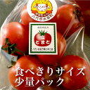 塩トマト(食べきりサイズ) 熊本県八代産テレビや雑誌で紹介された松村さんちの塩トマト - 朝ごはん本舗