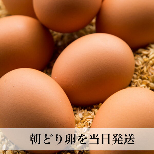 卵 30個入 Lサイズ 大玉 赤玉 タマゴ たまご 玉子 福岡産（割れ保証含む）