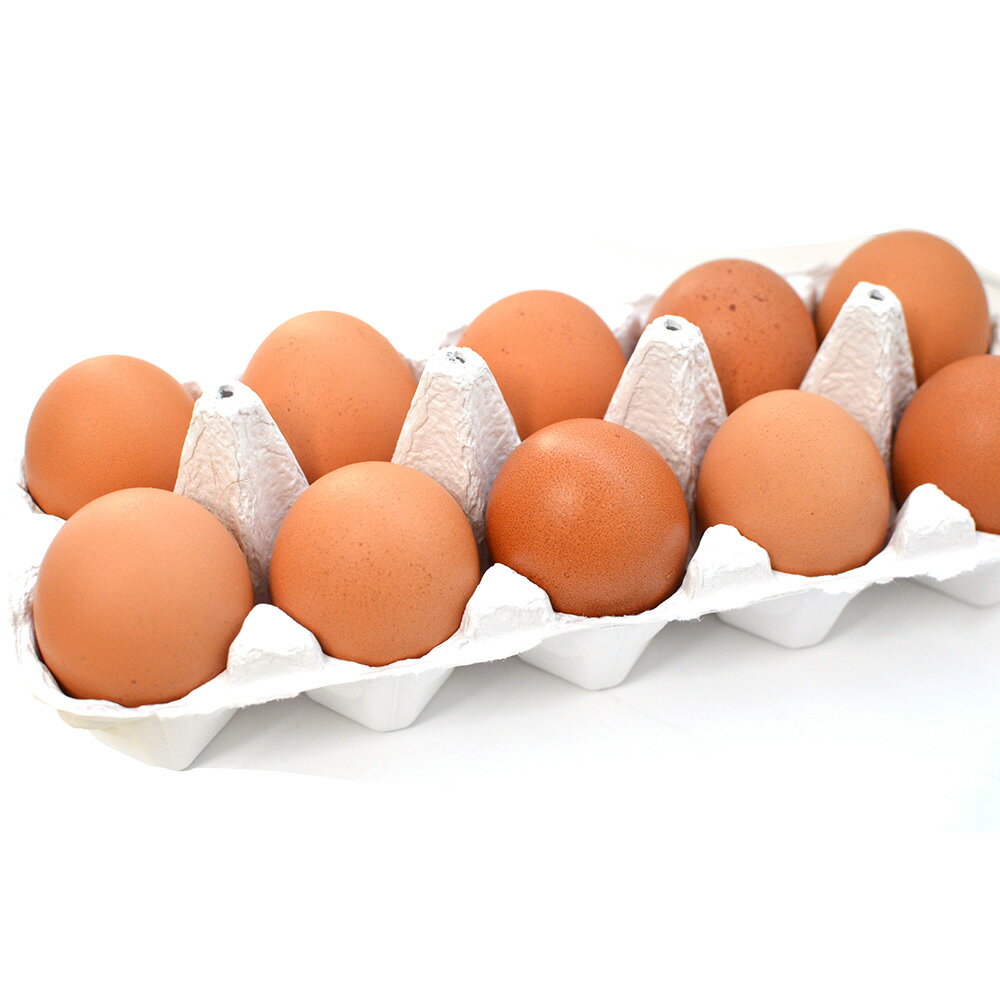 卵 10個入 Lサイズ 大玉 赤玉 タマゴ たまご 玉子 福岡産