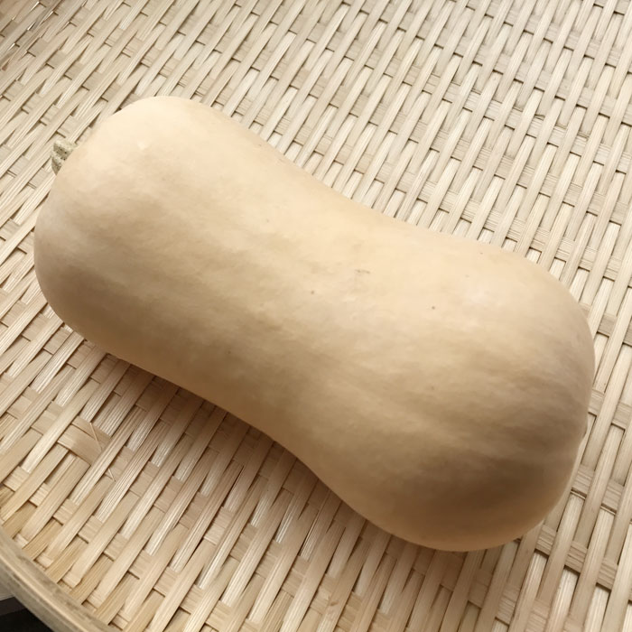 バターナッツかぼちゃ 1玉 南瓜 カボチャ 長崎産