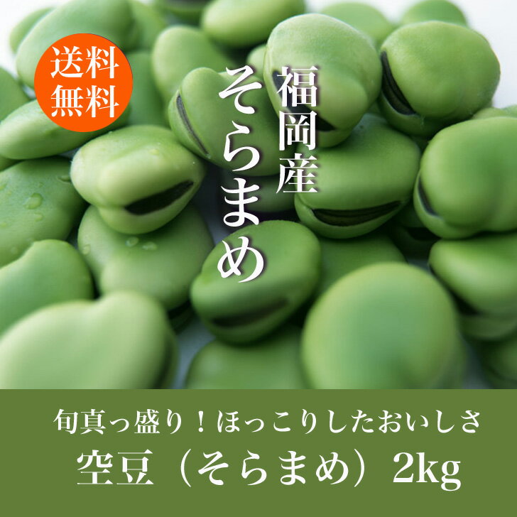 【送料無料】そら豆 2kg そらまめ ソラマメ 蚕豆 春の味覚 空豆