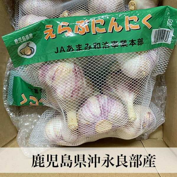 国産 にんにく 500g サイズ混合 無選別 鹿児島県産
