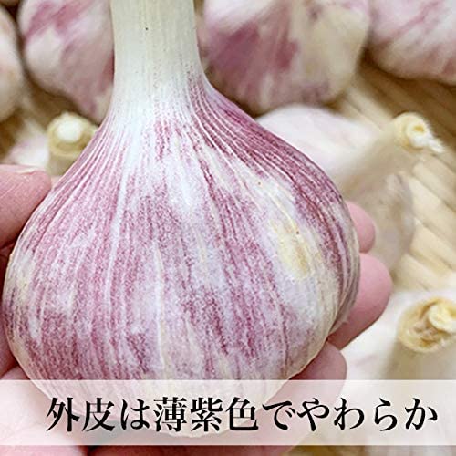 国産 にんにく 500g サイズ混合 無選別 鹿児島県産