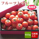 フルーツトマト 高騰度 600g 化粧箱入 九州産 クール便 母の日 花以外 ギフト