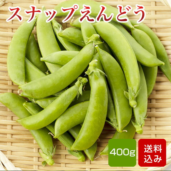 スナップエンドウ 400g（100g×4袋） 春野菜 豆野菜 えんどう豆 鹿児島県産 メール便のサムネイル