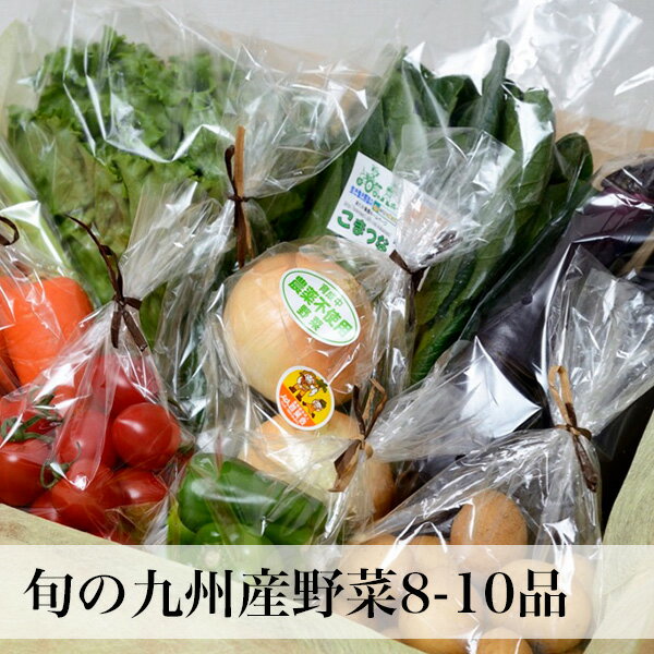 野菜セット 10-12品 野菜詰め合わせ 九州産 母の日 ギフト 花以外 のし無料 クール便 2