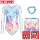 Maeau キッズ バレエ レオタード 子供 バレエ衣装 女の子 体操 練習着 伸縮性 通気 吸汗 袖なし 長袖 新体操 競技用 演出衣装 ダンス ヘアゴム付き 色:#L、サイズ:100-110cm