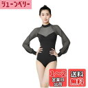 FLORPERRY バレエレオタード 成人 バレエ ダンス衣装 レディース ダンスウェア 通気性 ダンスパフォーマンス服 バレエ体操ウェア フィットネスウェア ...