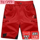 ショーツ メンズ アウトドア 五分丈 速乾 ハーフパンツ 撥水 短パン 通気 夏 カジュアル 半ズボン ドライ軽量 無地 ハイキング 色:トマトレッド、サイズ:...