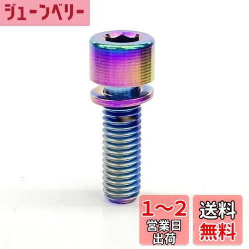 エヴァディオ(Avedio) チタンボルト M5x16mm(焼付) 70858