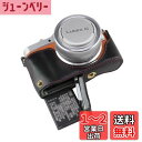 SIUTATDSH カメラケース PUレザー 適用 Panasonic パナソニック LUMIX GF10 GF9 GF8 GF7 ケース ライナーケース カメラホルダー、耐震・耐衝撃・便携?三脚設置でき、電池交換でき。 (ブラック)