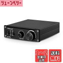Nobsound G2 PRO HiFi モノラルデジタルパワーアンプ 300W サブウーファー対応 PBTL/SUBスイッチ