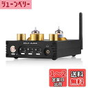 Nobsound P1 PRO GE5654 HiFi 真空管 プリアンプ Bluetooth 5.0 USB DAC プリアンプ APTX ヘッドホンアンプ ブルートゥース (金)