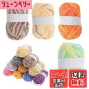 【送料無料】CAPASTEC 毛糸 60%コッ トン40%アクリル 50g±2g (約160m) 柔らかい 2本セット 編み物セット 段染風 クリス マスプレゼ...