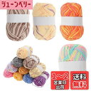 【送料無料】CAPASTEC 毛糸 60%コッ トン40%アクリル 50g±2g (約160m) 柔らかい 2本セット 編み物セット 段染風 クリス マスプレゼ...
