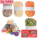 【送料無料】CAPASTEC 毛糸 60%コッ トン40%アクリル 50g±2g (約160m) 柔らかい 2本セット 編み物セット 段染風 クリス マスプレゼ...