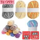【送料無料】CAPASTEC 毛糸 60%コッ トン40%アクリル 50g±2g (約160m) 柔らかい 2本セット 編み物セット 段染風 クリス マスプレゼ...