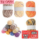 【送料無料】CAPASTEC 毛糸 60%コッ トン40%アクリル 50g±2g (約160m) 柔らかい 2本セット 編み物セット 段染風 クリス マスプレゼ...