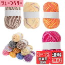 【送料無料】CAPASTEC 毛糸 60%コッ トン40%アクリル 50g±2g (約160m) 柔らかい 2本セット 編み物セット 段染風 クリス マスプレゼ...