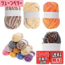 【送料無料】CAPASTEC 毛糸 60%コッ トン40%アクリル 50g±2g (約160m) 柔らかい 2本セット 編み物セット 段染風 クリス マスプレゼ...