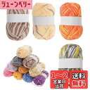 【送料無料】CAPASTEC 毛糸 60%コッ トン40%アクリル 50g±2g (約160m) 柔らかい 2本セット 編み物セット 段染風 クリス マスプレゼ...