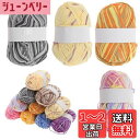 【送料無料】CAPASTEC 毛糸 60%コッ トン40%アクリル 50g±2g (約160m) 柔らかい 2本セット 編み物セット 段染風 クリス マスプレゼ...
