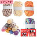 【送料無料】CAPASTEC 毛糸 60%コッ トン40%アクリル 50g±2g (約160m) 柔らかい 2本セット 編み物セット 段染風 クリス マスプレゼ...