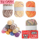 【送料無料】CAPASTEC 毛糸 60%コッ トン40%アクリル 50g±2g (約160m) 柔らかい 2本セット 編み物セット 段染風 クリス マスプレゼ...