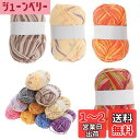 【送料無料】CAPASTEC 毛糸 60%コッ トン40%アクリル 50g±2g (約160m) 柔らかい 2本セット 編み物セット 段染風 クリス マスプレゼ...