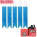 CAPASTEC 反射 キーホルダー リフレクター キーリング リボン型 反射板 交通安全 安全グッズ 通学 通勤 散歩 夜間 事故防止 ライトブルー 5個入り