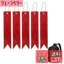 CAPASTEC 反射 キーホルダー リフレクター キーリング リボン型 反射板 交通安全 安全グッズ 通学 通勤 散歩 夜間 事故防止 赤 5個入り