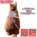 CAPASTEC 1セットの簡単コントロール犬用ベスト、猫用ハーネスとリードセット、猫用脱走防止調節可能な子猫用ハーネス、ビーズプレ イドコーデュロイハーネス、...
