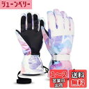 HAMIZON スキーグローブ 防寒グローブ 保温 冬 スノーボードグローブ スキー手袋 登山 手袋 防水 防寒 保温 通気性 男女兼用 サイズ選択可 (ピンク・ホワイト, L)