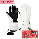 HAMIZON スキーグローブ 防寒グローブ 保温 冬 スノーボードグローブ スキー手袋 登山 手袋 防水 防寒 保温 通気性 男女兼用 サイズ選択可 (ホワイト, XL)