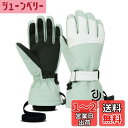 HAMIZON スキーグローブ 防寒グローブ 保温 冬 スノーボードグローブ スキー手袋 登山 手袋 防水 防寒 保温 通気性 男女兼用 サイズ選択可 (グリーン, XL)