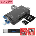 Wekrsu SDカードリーダー 3in1 【 Type-c/USB ...(2)
