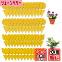 50個 昆虫トラップ 捕り粘着シート 虫よけプレート 捕虫シート 防虫シート 昆虫スティッキー キャッチャー ハエ アブラムシ ミバエ 害虫対策用品 両面強力粘...