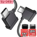 DRSEOO 1フィート USB C - USB C リモートコントローラーケーブル DJI Mavic 3 Mini 2 Mini 3 Pro Air 2S Mavic Air 2 DJI RC-N1 RC Proから電話/タブレットケーブル 90度 OTG データコードアクセサリー (USB Cコネクター)